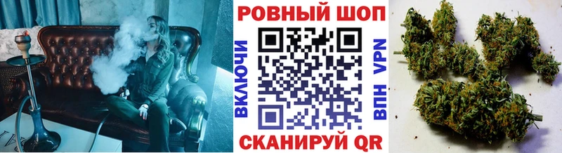 МЕФ Суздаль
