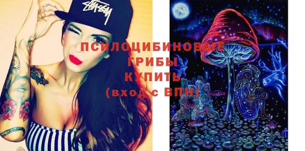 PSILOCYBIN Абаза