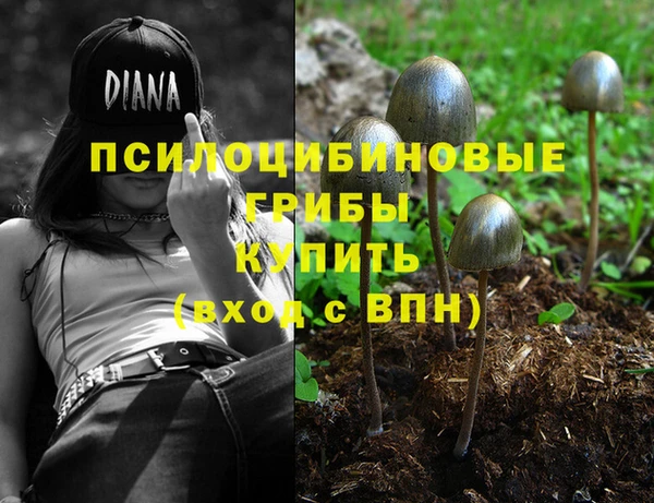 PSILOCYBIN Абаза